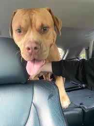 ON THE LAKE MEMORIAL DAY, MONDAY