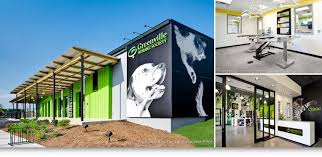It is fast paced but an enjoyable place to work. Greenville Sc Animal Shelter Shelter Dogs Dog Hotel