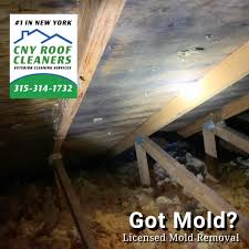 These common issues can lead to mold growth in your attic: Attic Mold Removal Remediation Cny Roof Cleaning