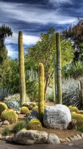 We did not find results for: 17 Cactus Mobile Wallpapers Mobile Abyss