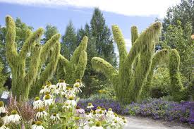Les Mosaiques Du Jardin Des Geants Le Parc Marie Victorin Est Le Premier Jardin Botanique A Posseder Une E Jardin Botanique Jardin Botanique Montreal Jardins