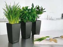 Pin By Robert Thieling On Entertainment Room Indoor Plant Pots Large Plant Pots Indoor Flower Pots