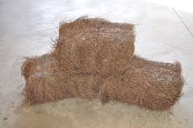Accentuate your plants and shrubs and create beautiful border contrast with our superior quality pinestraw. Pine Straw Bales Indianapolis Pine Straw Grass Seed
