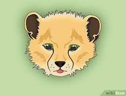 Cat face drawing drawing cartoon faces mouth drawing drawing cartoons drawing hair gesture drawing cartoon mouths. How To Draw A Cute Animal Face Front View 14 Steps