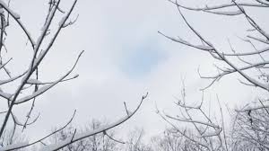 Bij onsoranje blijf je de hoogte van alle. Winterachtig Besneeuwd Landschap Uitzicht Lucht Midden Europa Wit Russische Natuur Video Door C Honored Footage Stockvideo 447082602