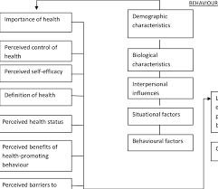 The ultimate aim of the program is to improve the organizational health of participating employers and certified trainers, with an emphasis on strategies to reduce chronic disease and inju. 3 Health Promotion Model Adapted From Pender N J 1987 As Cited In Download Scientific Diagram