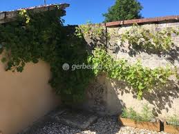 Parmi les plantes, la vigne est l'une des moins exigeantes. Une Treille Sur Ma Terrasse Plantation De La Vigne Installation