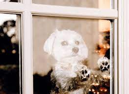 The cost includes a transmitter, receiver and wires that conduct power. 2021 Average Dog Door Installation Cost With Price Factors