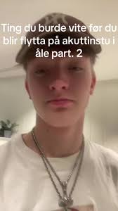 Important Information Before Being Moved to Emergency Accommodation in Åle  Part 2