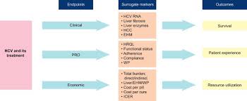 Hepatitis b vaccine is safe and effective but should not be seen as an alternative to a strategy of prevention of transmission. Hepatitis C Infection A Multi Faceted Systemic Disease With Clinical Patient Reported And Economic Consequences Journal Of Hepatology