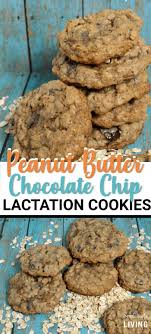Homemade Peanut Butter Chocolate Chip Lactation Cookies Lactationcookies Lactationrecipes Milk Lactation Cookies Peanut Butter Chocolate Chip Chocolate Chip