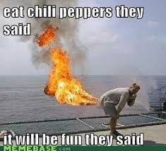 At memesmonkey.com find thousands of memes categorized into thousands of categories. Memebase Chili Peppers All Your Memes In Our Base Funny Memes Cheezburger