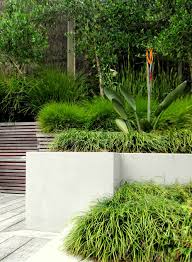 Pin On Seed Landscapes