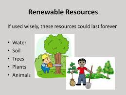 Natural resources such as coal, natural gas and oil provide heat, light and power. Natural Resources Of Our World Ppt Video Online Download
