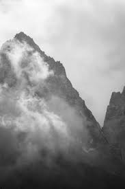 Misty Forest and Mountain View in Washington · Free Stock Photo