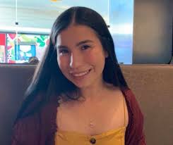 INTRODUCTION TO THE OURS NEWSLETTER