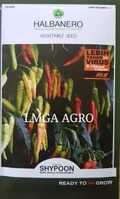 Jual Benih Cabe Cara Menanam Cabe Shypoon Lmga Agro 08125222117 Sms Wa Toko Pertanian Lmga Agro Jual Benih Cabe Berangkai Shypoon H Benih Sayuran Cabai