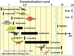 how smart were velociraptors