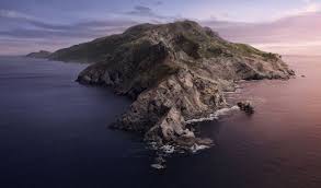 Pin On E Socialization