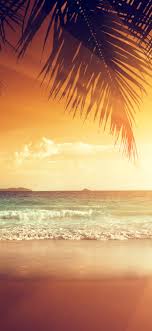 1125x2436 neon sunset 4k iphone xs. Wallpaper Beautiful Sunset Palm Tree Leaves Beach Sea Tropical Summer 5120x2880 Uhd 5k Picture Image