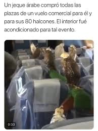 Halcones De Un Jeque Arabe Viajando En Avion Jeque Arabe Jeque