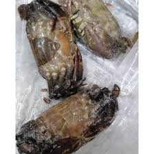 Layari www.ulwisefoods.com untuk membuat tempahan. Soft Shell Crab Ketam Kulit Lembut Shopee Malaysia