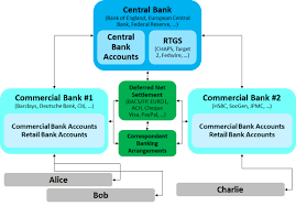 A Simple Explanation Of How Money Moves Around The Banking