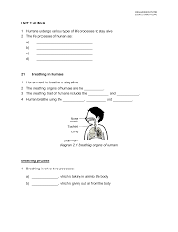 Share & embed rpt dlp science year 1. Unit 2 Human Breathing Standard 4 Kssr