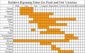 this chart shows the relative ripening dates for different