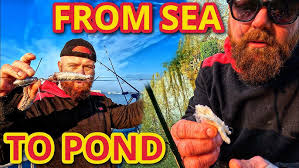 Blood Worm Idaho Meat Sweats Fishing Fly