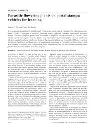 Image result for Agelanthus musozensis