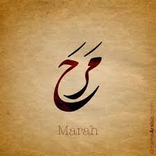 Mashael Arabic Calligraphy Names In 2020 Calligraphy Name Arabic Calligraphy Calligraphy