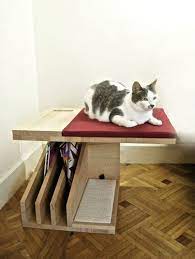 Pin On Paw Friendly Domain Care Art
