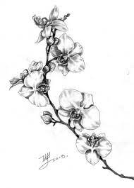 Super Tattoo Flower Orchid 56 Ideas Orchid Flower Tattoos Orchid Tattoo Flower Tattoos
