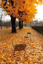 Paris Jardins Du Luxembourg Anibal Gondim Paris In Autumn Autumn Scenery Autumn Scenes