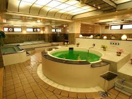 Pin On Onsen Spas And Fancy Baths