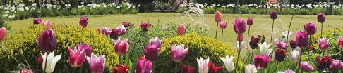 Learn how to create stylish landscapes, follow garden trends, and get tips to try in your own garden. What Is A Garden Designer Discover What One Is And Why You Need One