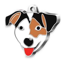 Jack Russell Kopek Kunyesi Kahverengi