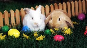 Maybe you would like to learn more about one of these? Easter Bunny And Egg Wallpapers Wallpaper Cave
