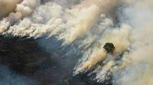 Kebakaran hutan, yang mencapai puncak pada bulan maret serupa dengan krisis kabut asap juni 2013, menghasilkan kabut asap berbahaya dalam jumlah yang. Malaysia Tawarkan Bantuan Padamkan Kebakaran Hutan Di Indonesia Dunia Tempo Co