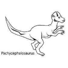 From easy dinosaur pictures for preschool kids to color, to more realistic and detailed illustrations for big kids, including named dinosaur pictures, we hope you find a coloring page that you like! Top 35 Free Printable Unique Dinosaur Coloring Pages Online Dinosaur Coloring Dinosaur Coloring Pages Animal Coloring Pages