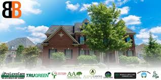 We serve the greater mid ohio area with a wide range of services, including landscaping weekly mowing planting. Best 11 Lawn Care Companies Nky Names Numbers Ratings