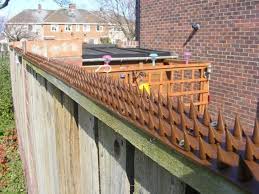 Fence Wall Spikes Brown Effective Against Humans Cats Foxes And Large Birds Security Fence Fence Design Backyard Fences