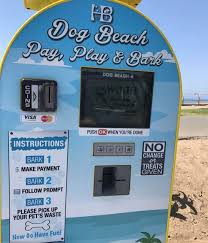 We hope you and your dog have. Huntington Dog Beach Day Trip Take Your Canine Friend To The Beach