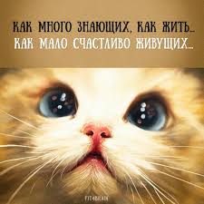 как много знающих как жить как мало счастливо живущих Novosti Samye Milye Zhivotnye Citaty Milye Detenyshi Zhivotnyh