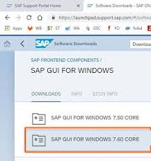 Sap Gui Frontend Download Install Configure For Windows