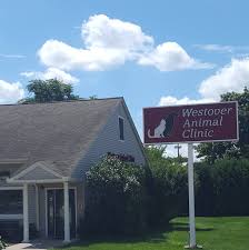 Maybe you would like to learn more about one of these? East Springfield Veterinary Hospital Home Facebook