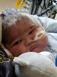 Taysom John Sipple Obituary July 11, 2021