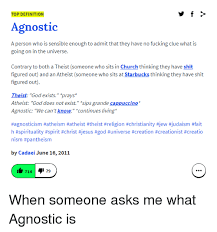 Top Definition Agnostic A Person Who Is Sensible Enough To Admit That They Have No Fucking Clue What Is Going On In The Universe Contrary To Both A Theist Someone Who Sits