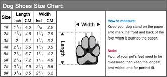 Size Charts Petshopping Net Dog Boots Dog Size Chart